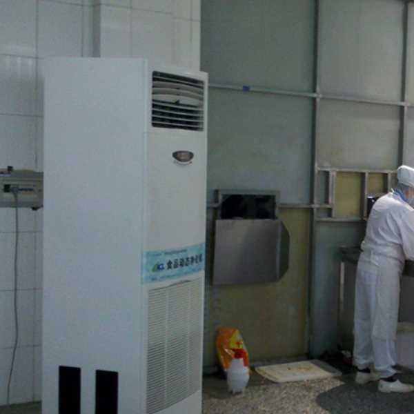 贵港食品正负离子空气杀菌器